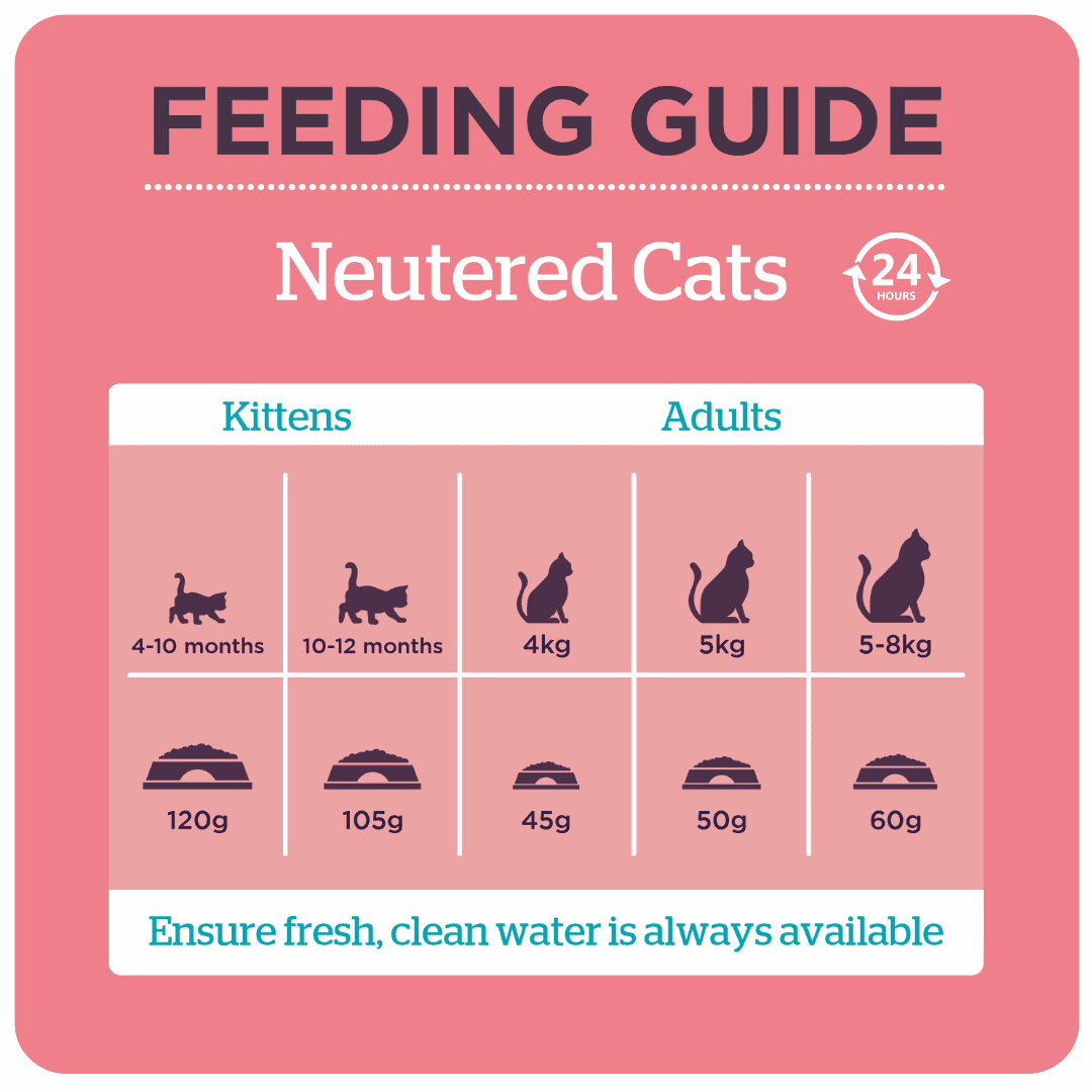 Neutered Cat product image