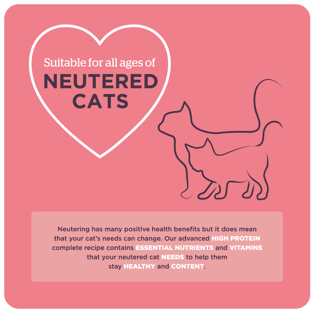 Neutered Cat product image