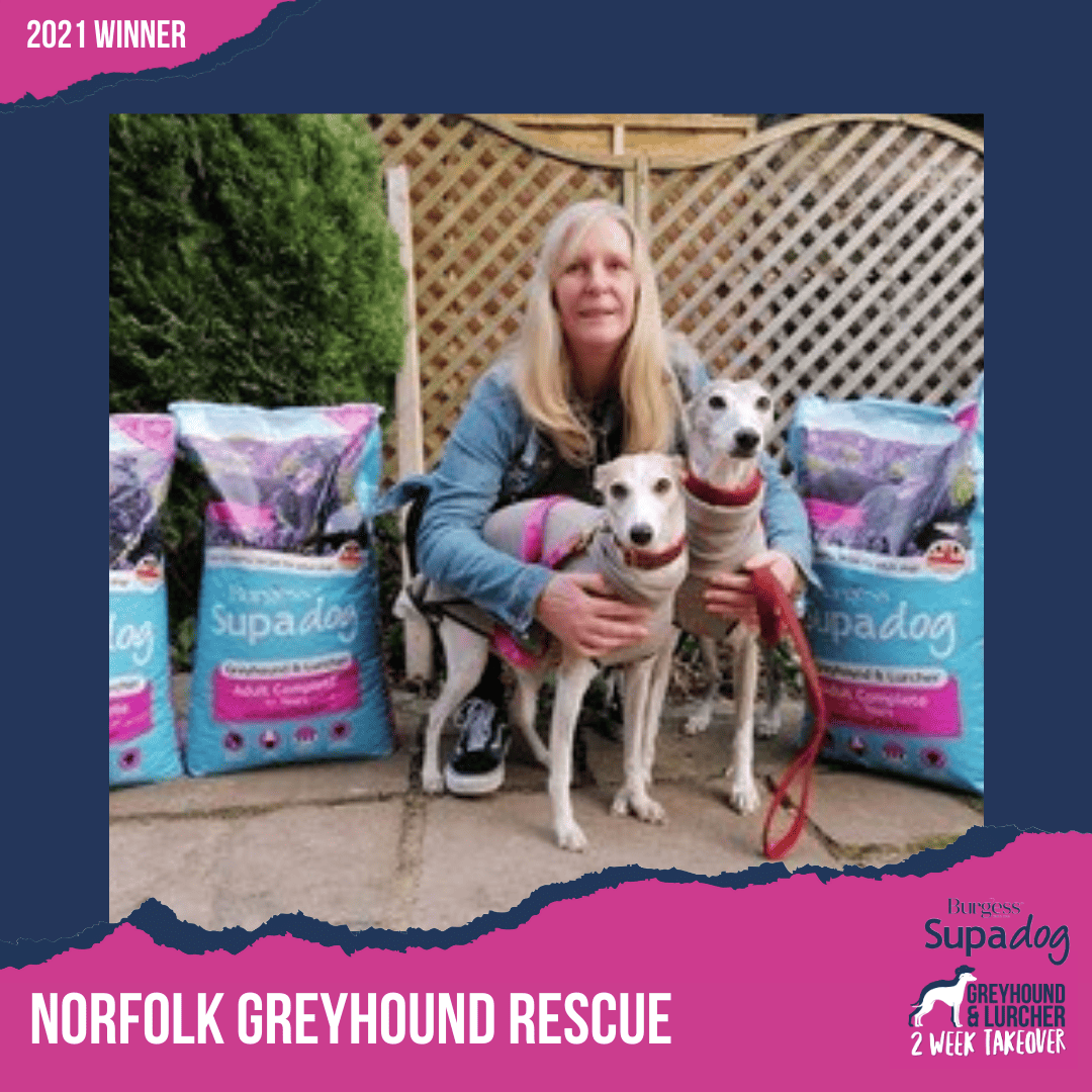 norfolk greyhound rescue