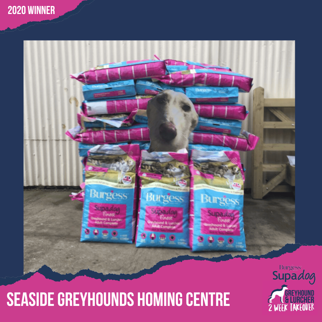 seaside greyhounds homing centre