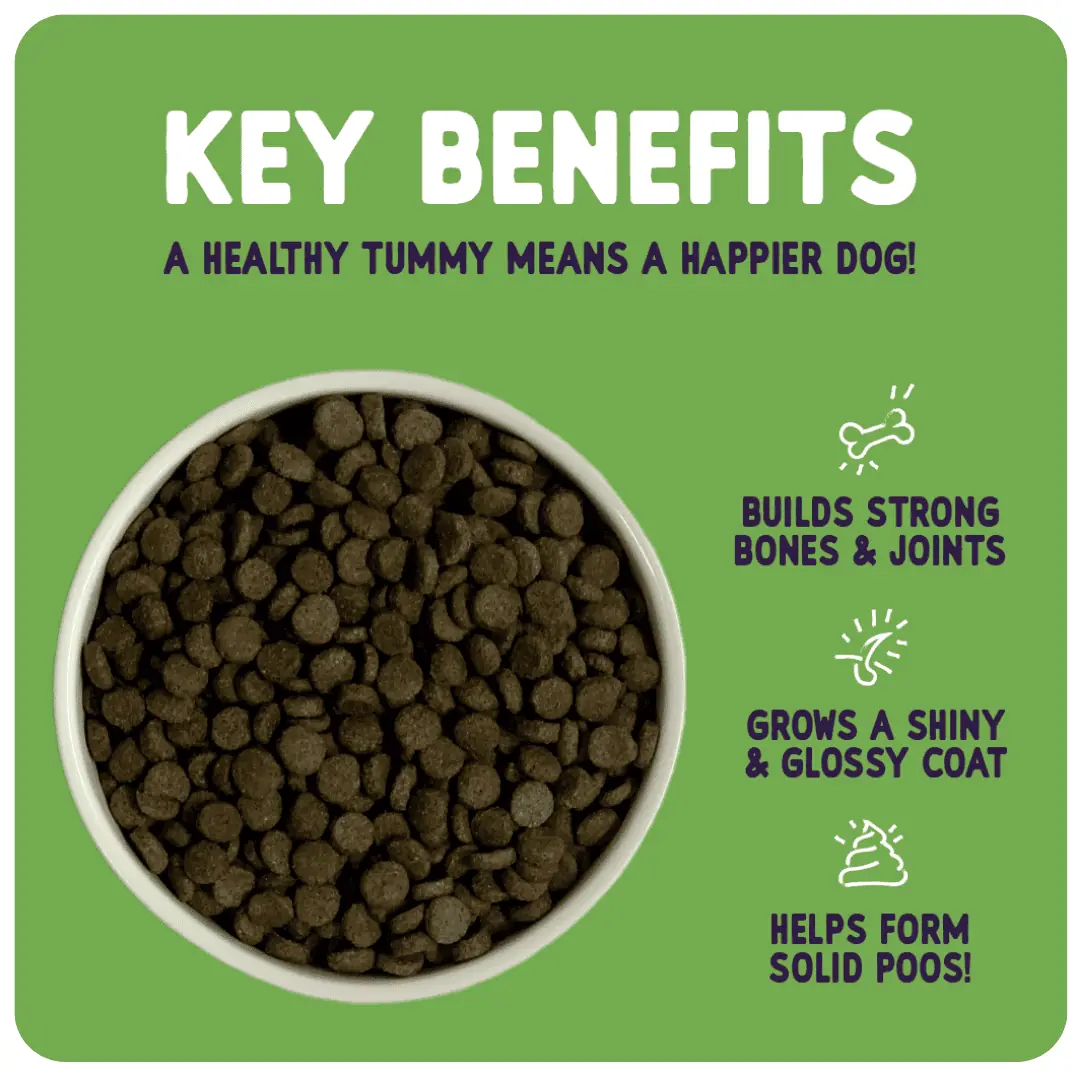 Sensitive Puppy Food product image