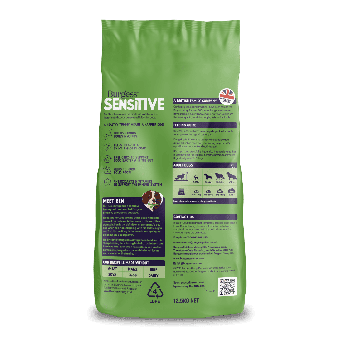 Sensitive Adult Dog Lamb product image