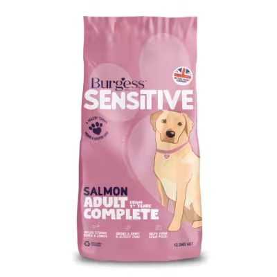 Product image for Sensitive Adult Dog Salmon 2kg
