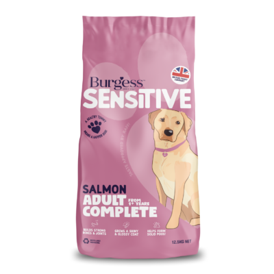 Product image for Sensitive Adult Dog Salmon