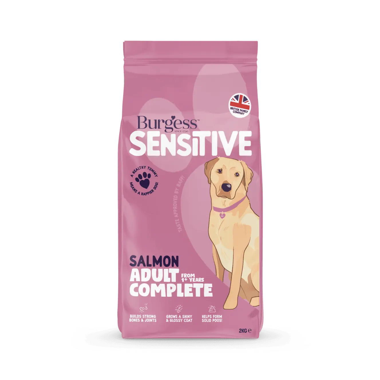 Sensitive Adult Dog Salmon product image