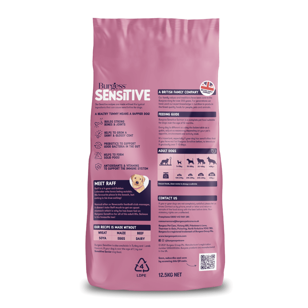 Sensitive Adult Dog Salmon 2kg product image