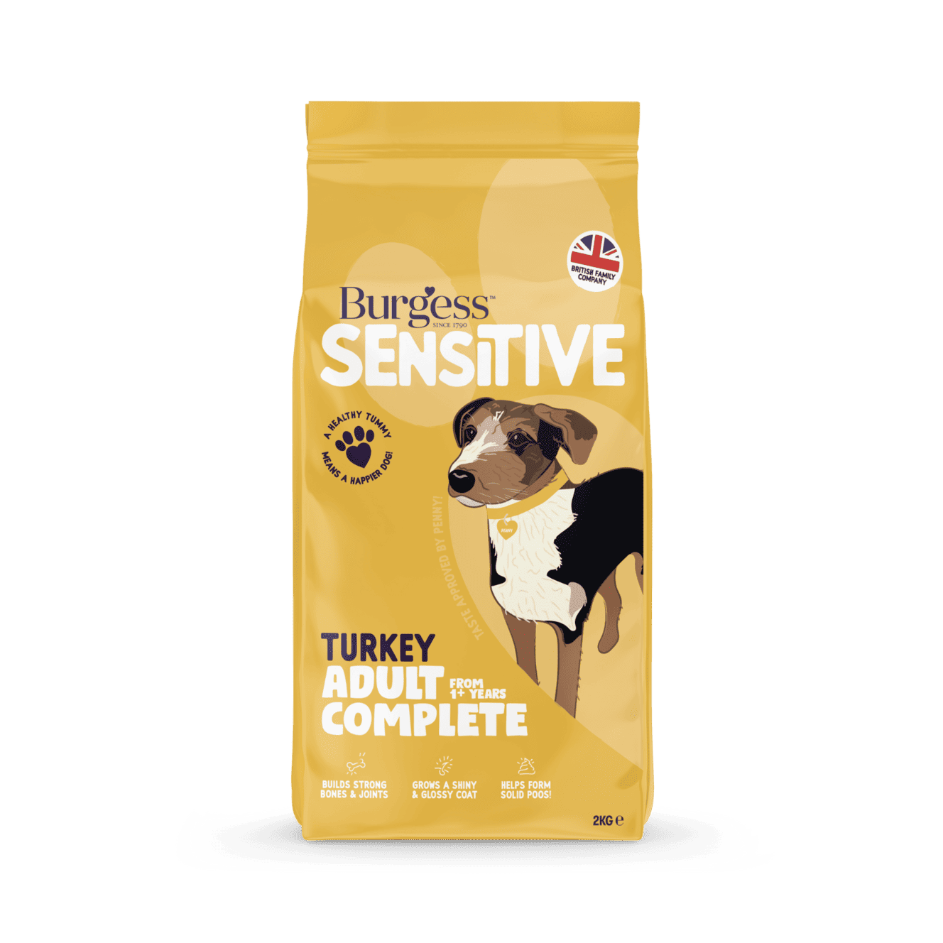 Sensitive Adult Dog Turkey 2kg product image