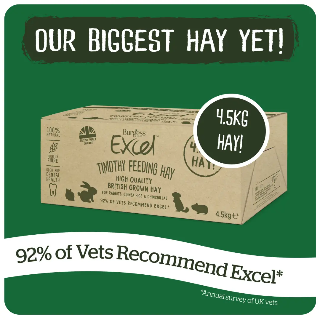 Excel Timothy Hay Box product image