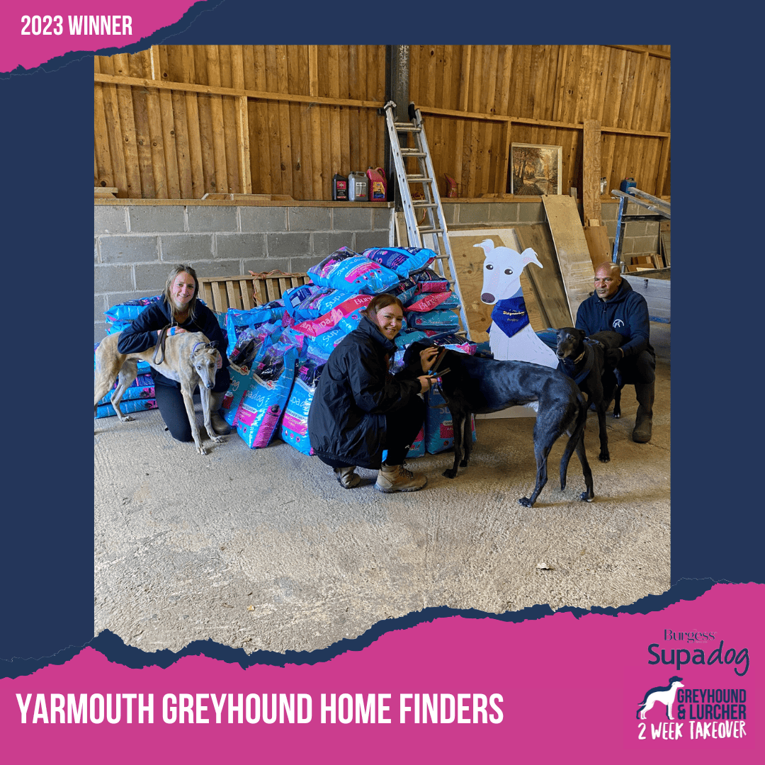 yarmouth greyhound home finders