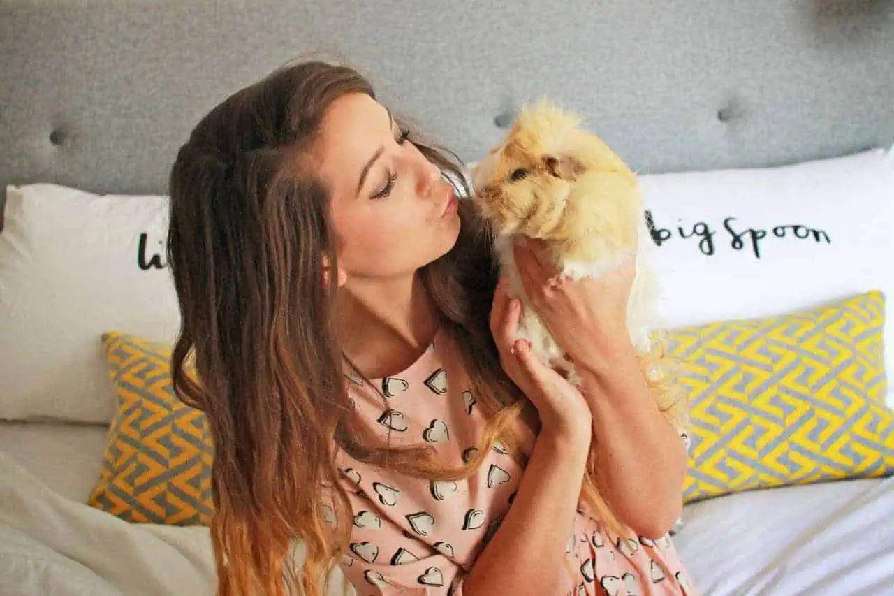 Featured image for Excel Guinea Pig Nuggets Feature in Zoella’s Christmas Videos