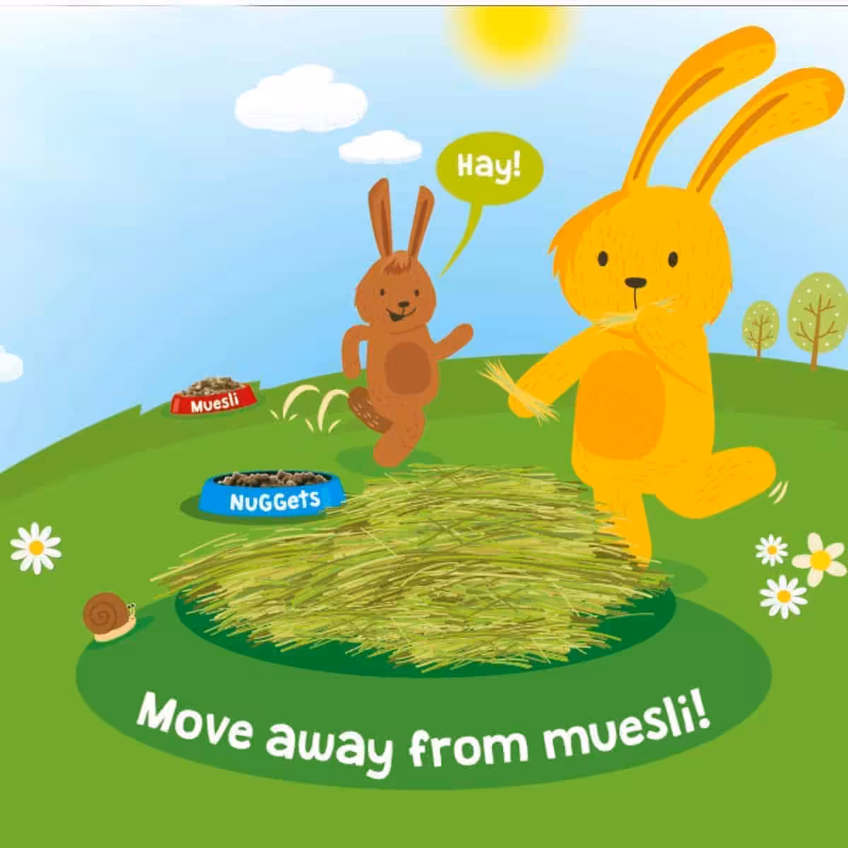 Featured image for Calling all rabbit owners – find out why it’s time to Move Away from Muesli