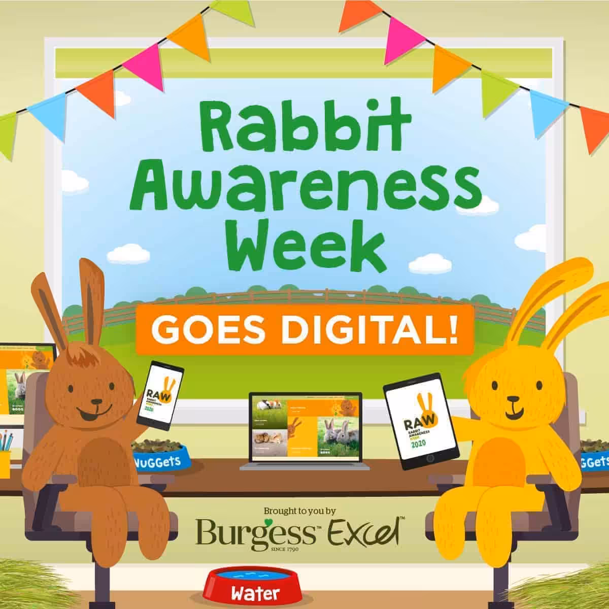 Featured image for Join in a virtual festival of everything bunny