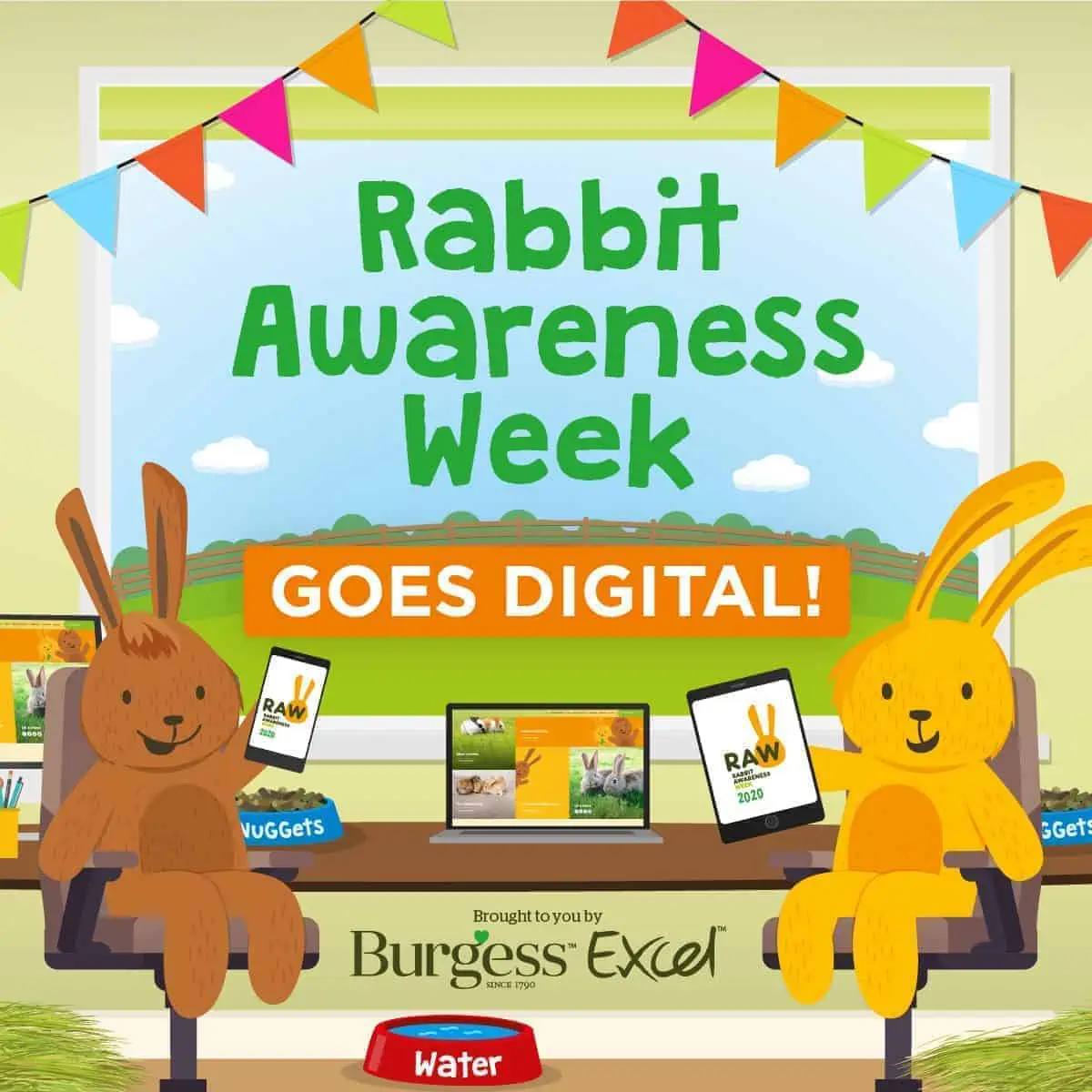 Featured image for Join in a virtual festival of everything bunny