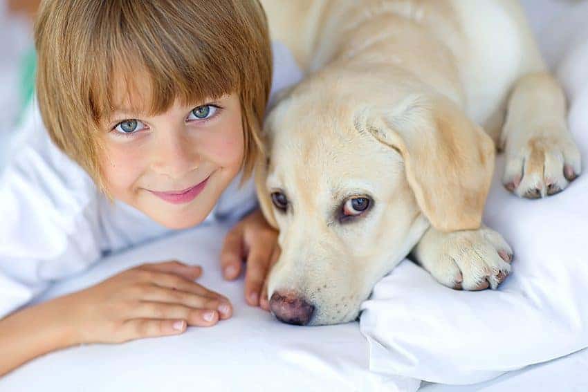 Featured image for Want to give your child the best start in life? Get them a pet