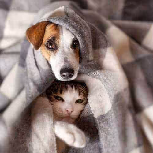Featured image for Wise up to winter colds and flu
