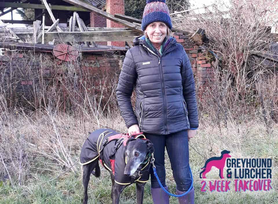 Featured image for Greyhound & Lurcher Rescue Stories – The Story of Makants Rescue