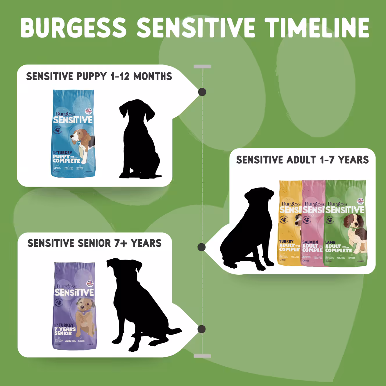 burgess sensitive (1)