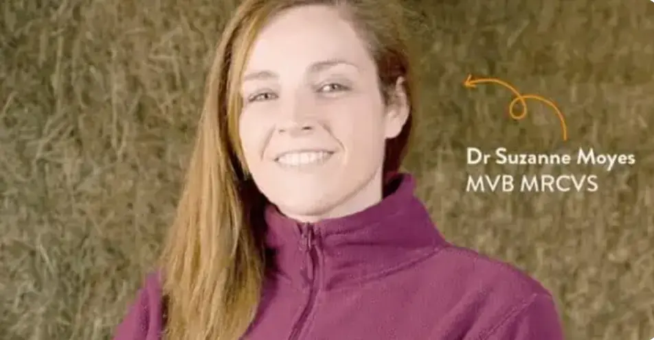 Dr Suzanne Moyes