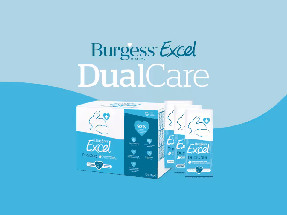 Featured image for Product spotlight: Excel Dual Care