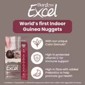 indoor nugs export 2 01