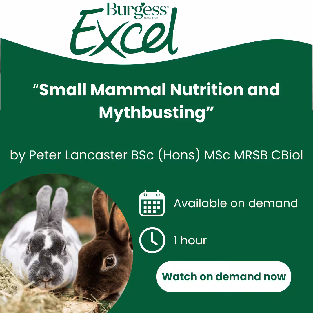 Featured image for Watch on demand: Small Mammal Nutrition and Mythbusting by Peter Lancaster