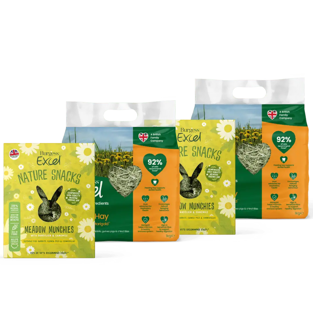 Excel 4kg Munchie Hay Bundle product image