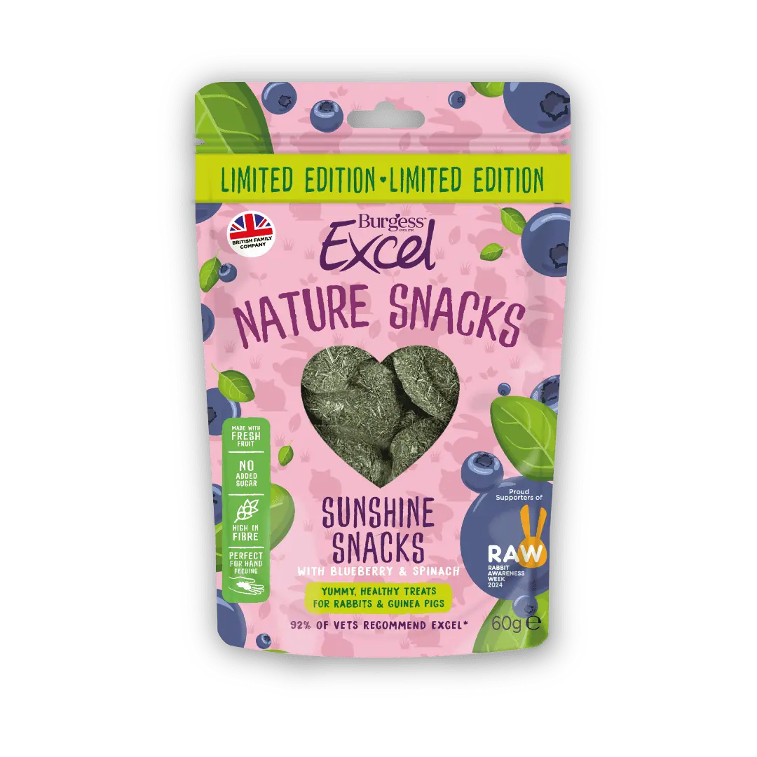 Binky Bundle – RAW 2025 product image