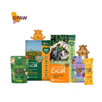 Product image for Excel GPAW 2024 Bundle