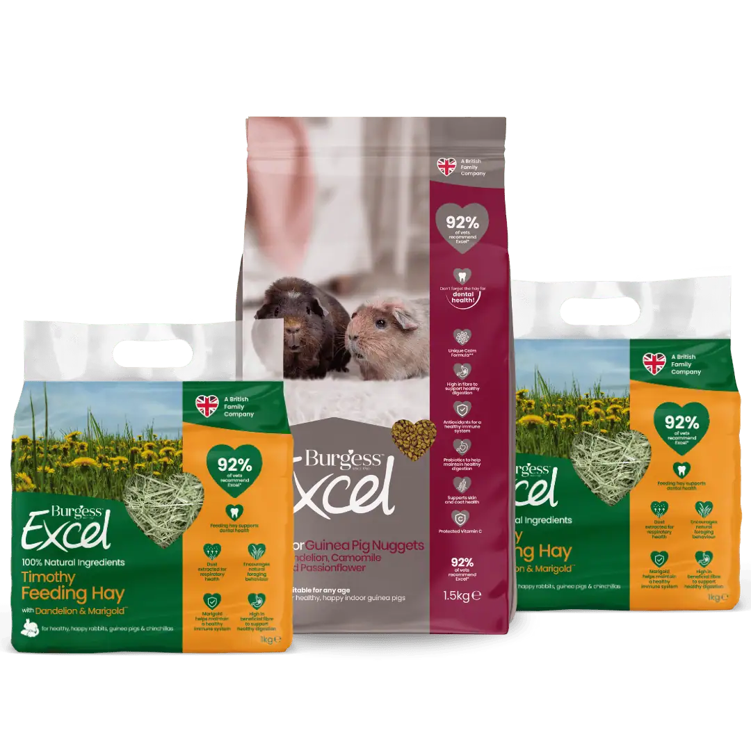 Excel Indoor Guinea Pig Nugget and Dandelion & Marigold Hay Bundle product image