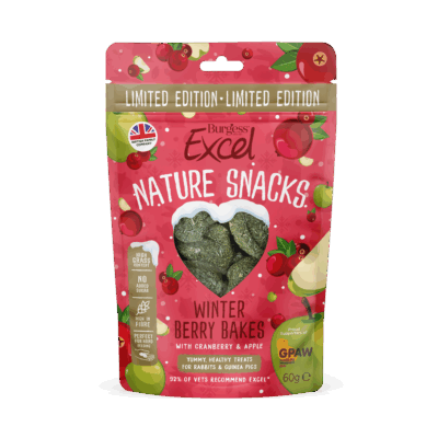 Product image for Excel Winter Berry Bakes – LIMITED EDITION