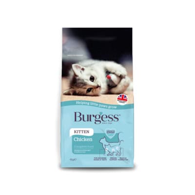 Product image for Kitten Food With Chicken – 4kg