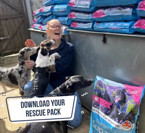 download your rescue pack