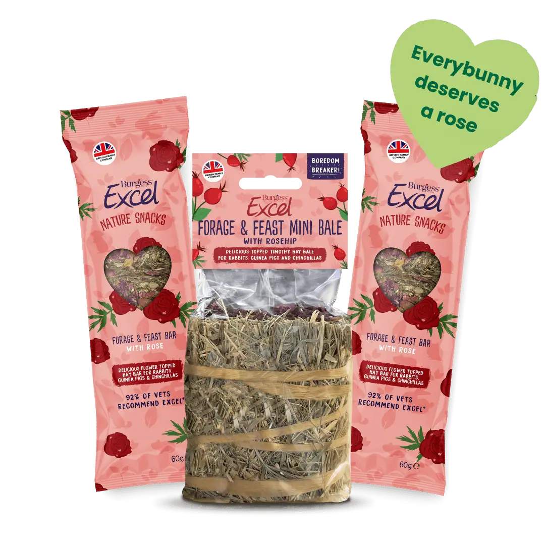 Excel Valentine’s Bundle product image