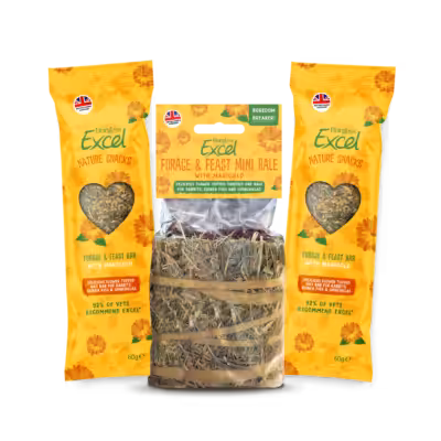 Product image for Excel Marigold Bundle