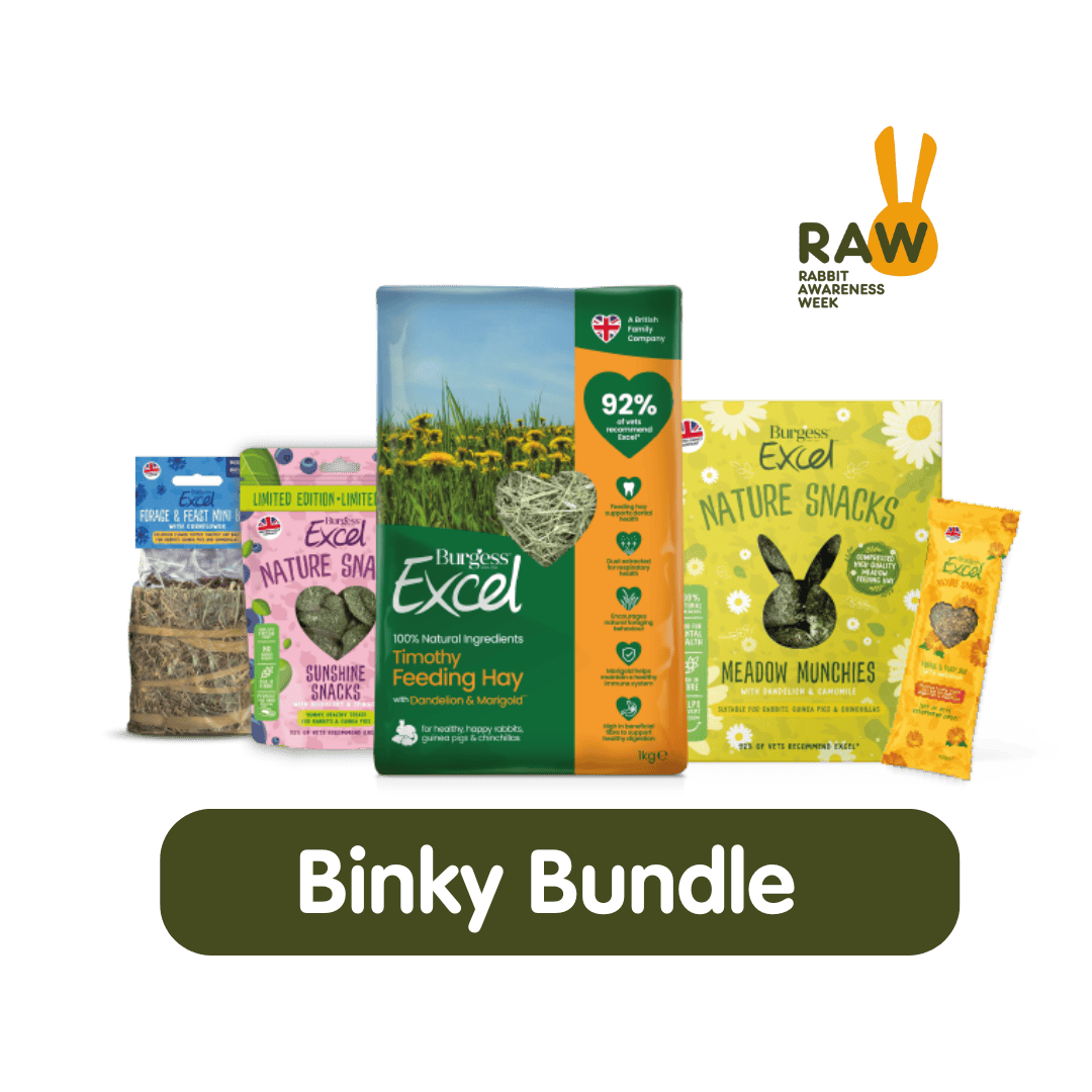 Binky Bundle – RAW 2025 product image