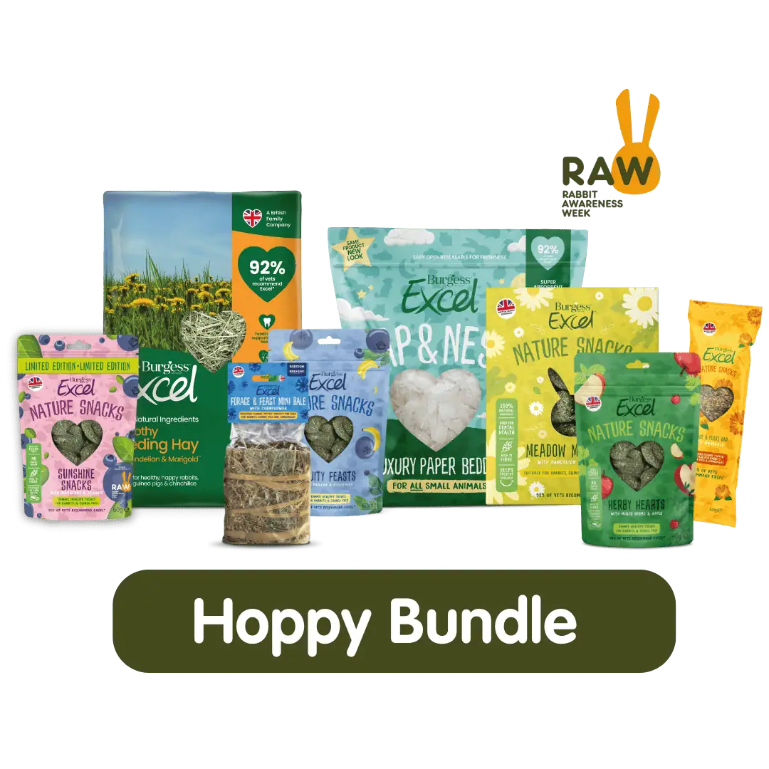 Hoppy Bundle – RAW 2025 product image