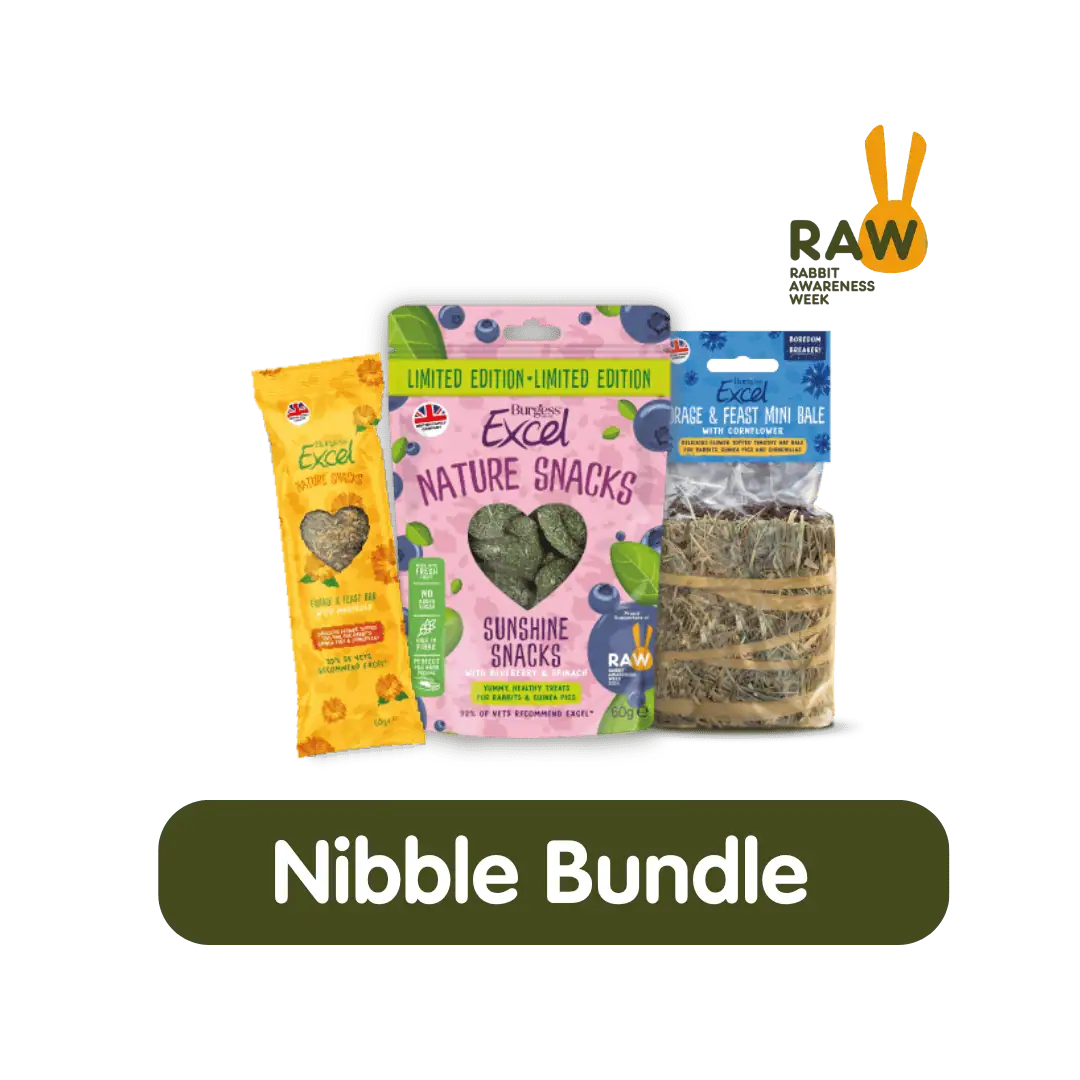 Nibble Bundle – RAW 2025 product image