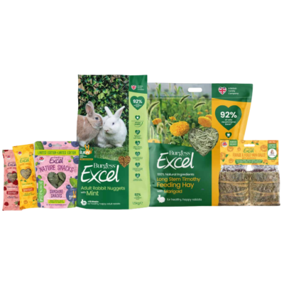 Product image for Binky Bundle – RAW 2026