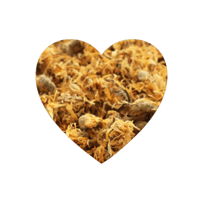 Product image for Excel Forage Bundle – Marigold Petals