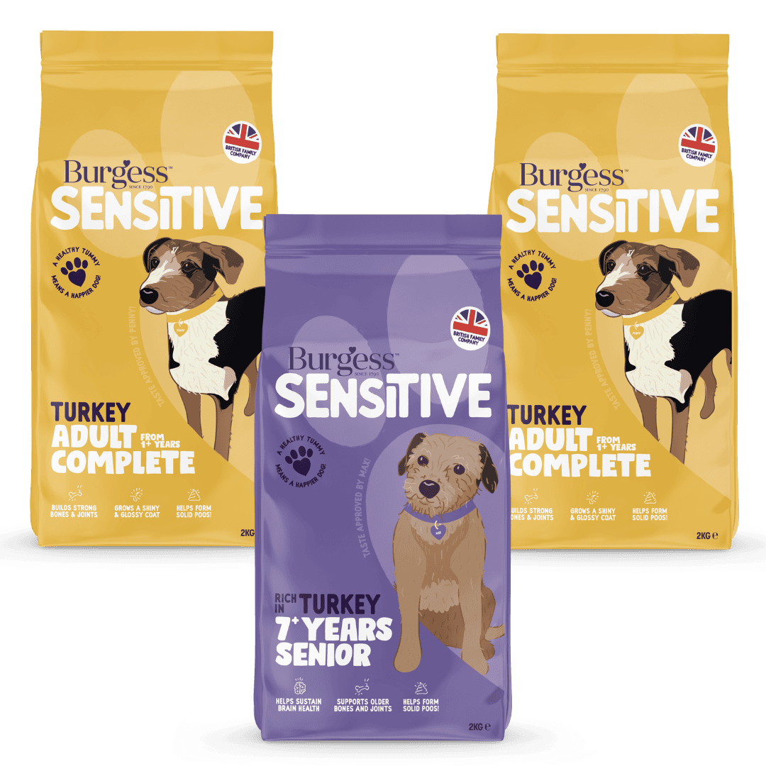 Golden Oldie Sensitive Turkey Bundle product image