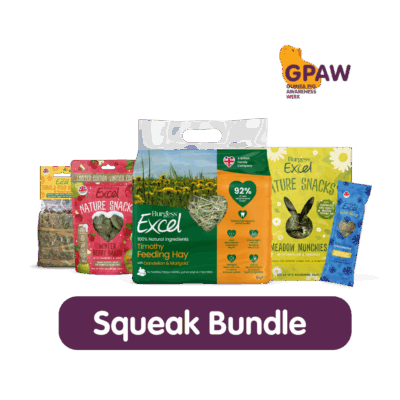 Product image for Squeak Bundle – GPAW 2025
