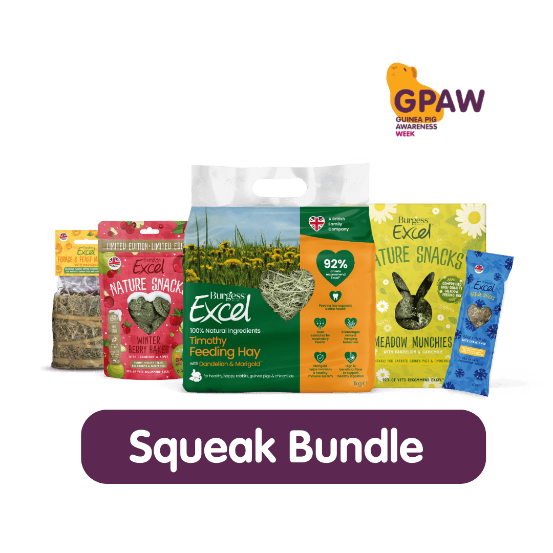 Squeak Bundle – GPAW 2025 product image