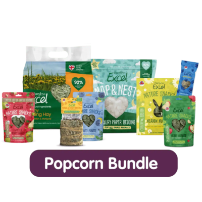 Product image for Popcorn Bundle – GPAW 2026