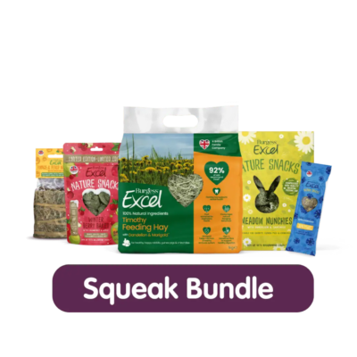 Product image for Squeak Bundle – GPAW 2026