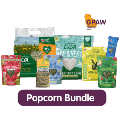 Product image for Popcorn Bundle – GPAW 2025