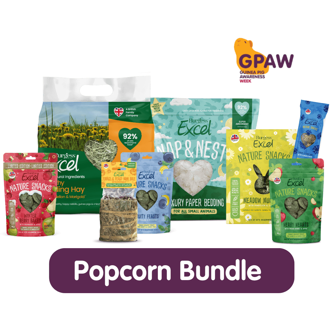 Popcorn Bundle – GPAW 2025 product image