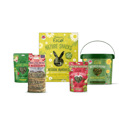 Product image for Excel Festive Bonding Bundle – LIMITED EDITION