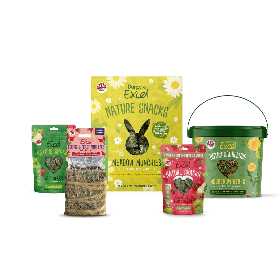 Excel Festive Bonding Bundle – LIMITED EDITION product image