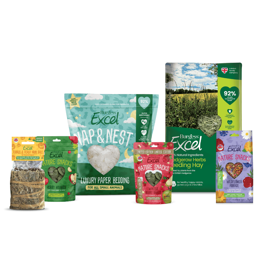 Excel Winter Warmers – LIMITED EDITION product image