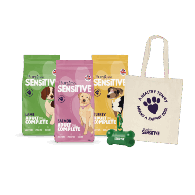 Product image for Sensitive Taste & Travel Pack